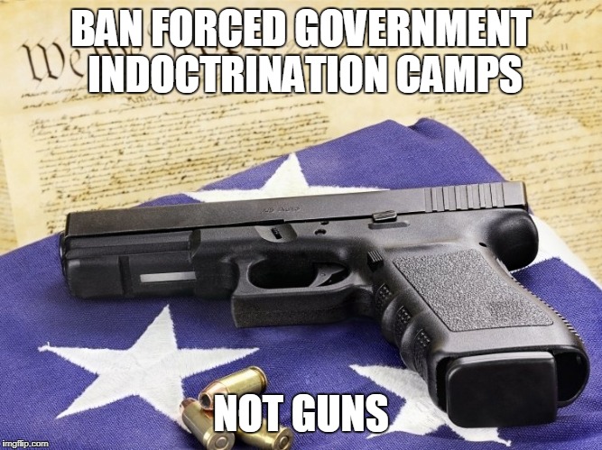 pro guns: protect the 2nd amendment | BAN FORCED GOVERNMENT INDOCTRINATION CAMPS; NOT GUNS | image tagged in guns,2nd amendment,donald trump,gun control,school,illuminati | made w/ Imgflip meme maker