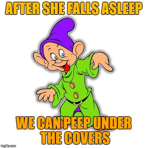 AFTER SHE FALLS ASLEEP WE CAN PEEP UNDER THE COVERS | made w/ Imgflip meme maker