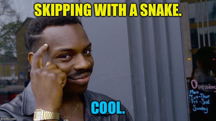 Roll Safe Think About It Meme | SKIPPING WITH A SNAKE. COOL. | image tagged in memes,roll safe think about it | made w/ Imgflip meme maker