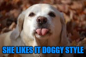 SHE LIKES IT DOGGY STYLE | made w/ Imgflip meme maker