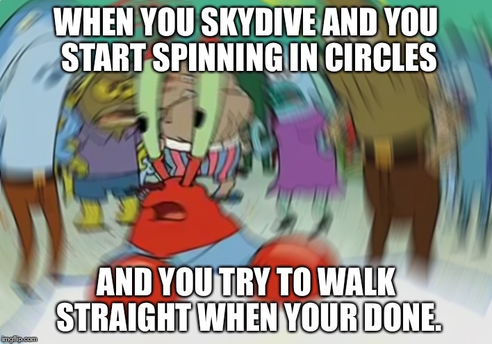 Mr Krabs Blur Meme | WHEN YOU SKYDIVE AND YOU START SPINNING IN CIRCLES; AND YOU TRY TO WALK STRAIGHT WHEN YOUR DONE. | image tagged in memes,mr krabs blur meme | made w/ Imgflip meme maker