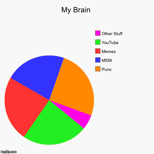 My Brain | Puns, MSM, Memes, YouTube, Other Stuff | image tagged in funny,pie charts | made w/ Imgflip chart maker