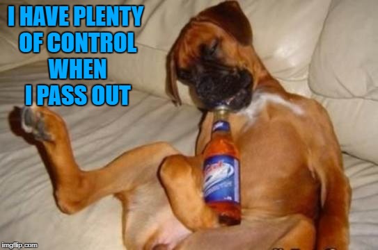 I HAVE PLENTY OF CONTROL WHEN I PASS OUT | made w/ Imgflip meme maker