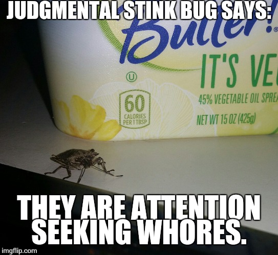 judgmental stink bug at breakfast | JUDGMENTAL STINK BUG SAYS: THEY ARE ATTENTION SEEKING W**RES. | image tagged in judgmental stink bug at breakfast | made w/ Imgflip meme maker