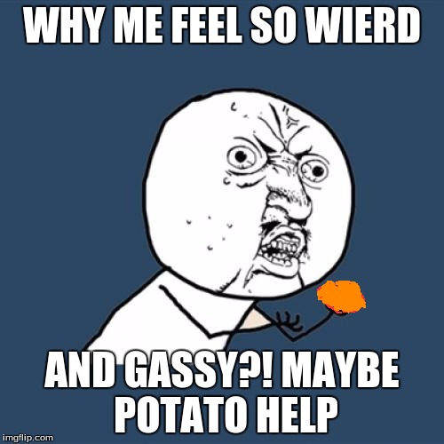 Y U No Meme | WHY ME FEEL SO WIERD; AND GASSY?! MAYBE POTATO HELP | image tagged in memes,y u no | made w/ Imgflip meme maker