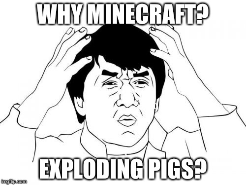 Jackie Chan WTF Meme | WHY MINECRAFT? EXPLODING PIGS? | image tagged in memes,jackie chan wtf | made w/ Imgflip meme maker