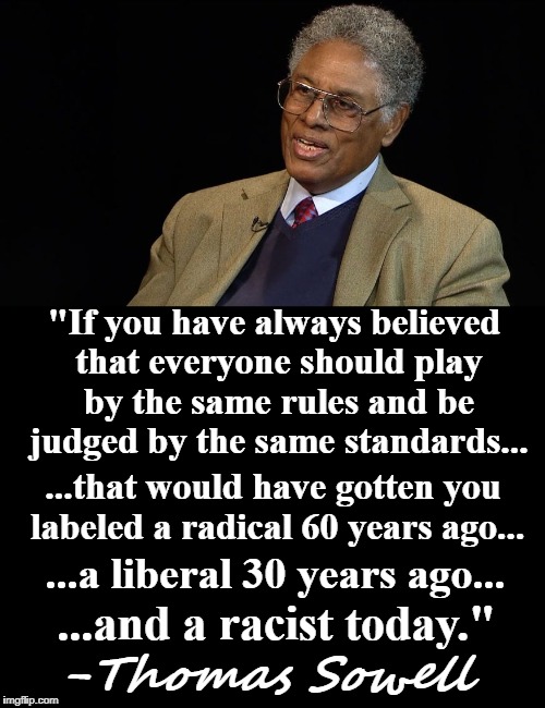 Wisdom from Thomas Sowell  | "If you have always believed that everyone should play by the same rules and be judged by the same standards... ...that would have gotten you labeled a radical 60 years ago... ...a liberal 30 years ago... ...and a racist today."; -Thomas Sowell | image tagged in thomas sowell,quotes,equality,radical,liberal,racist | made w/ Imgflip meme maker