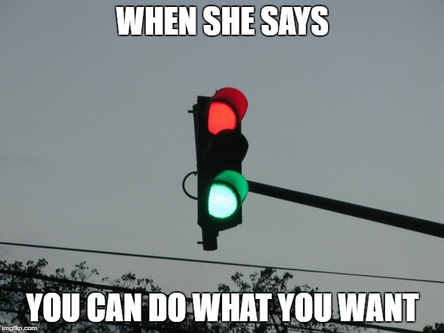 When she says you can do what you want | WHEN SHE SAYS; YOU CAN DO WHAT YOU WANT | image tagged in traffic lights,when she says,red,green,what you want,do what you want | made w/ Imgflip meme maker