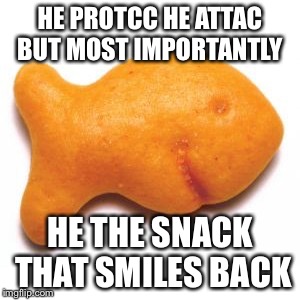 HE PROTCC HE ATTAC BUT MOST IMPORTANTLY; HE THE SNACK THAT SMILES BACK | image tagged in goldfish | made w/ Imgflip meme maker