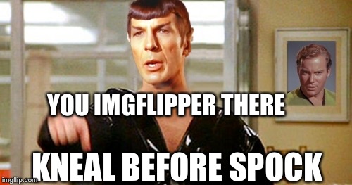 Now | YOU IMGFLIPPER THERE; KNEAL BEFORE SPOCK | image tagged in kneel before spocky | made w/ Imgflip meme maker