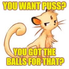 YOU WANT PUSS? YOU GOT THE BALLS FOR THAT? | made w/ Imgflip meme maker