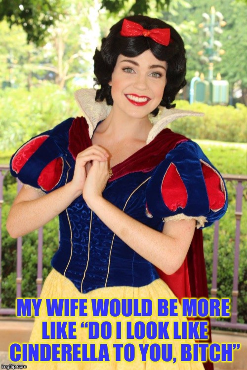 MY WIFE WOULD BE MORE LIKE “DO I LOOK LIKE CINDERELLA TO YOU, B**CH” | made w/ Imgflip meme maker