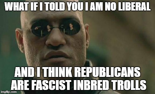 Matrix Morpheus | WHAT IF I TOLD YOU I AM NO LIBERAL; AND I THINK REPUBLICANS ARE FASCIST INBRED TROLLS | image tagged in memes,matrix morpheus | made w/ Imgflip meme maker