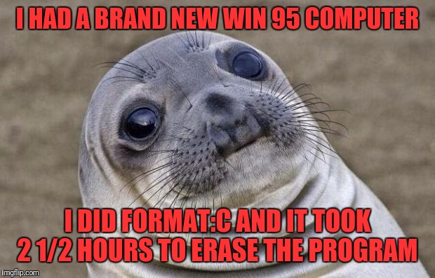 Awkward Moment Sealion Meme | I HAD A BRAND NEW WIN 95 COMPUTER; I DID FORMAT:C AND IT TOOK 2 1/2 HOURS TO ERASE THE PROGRAM | image tagged in memes,awkward moment sealion | made w/ Imgflip meme maker