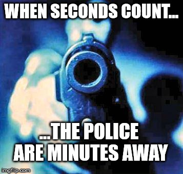 gun in face | WHEN SECONDS COUNT... ...THE POLICE ARE MINUTES AWAY | image tagged in gun in face,self defense,crime,guns | made w/ Imgflip meme maker