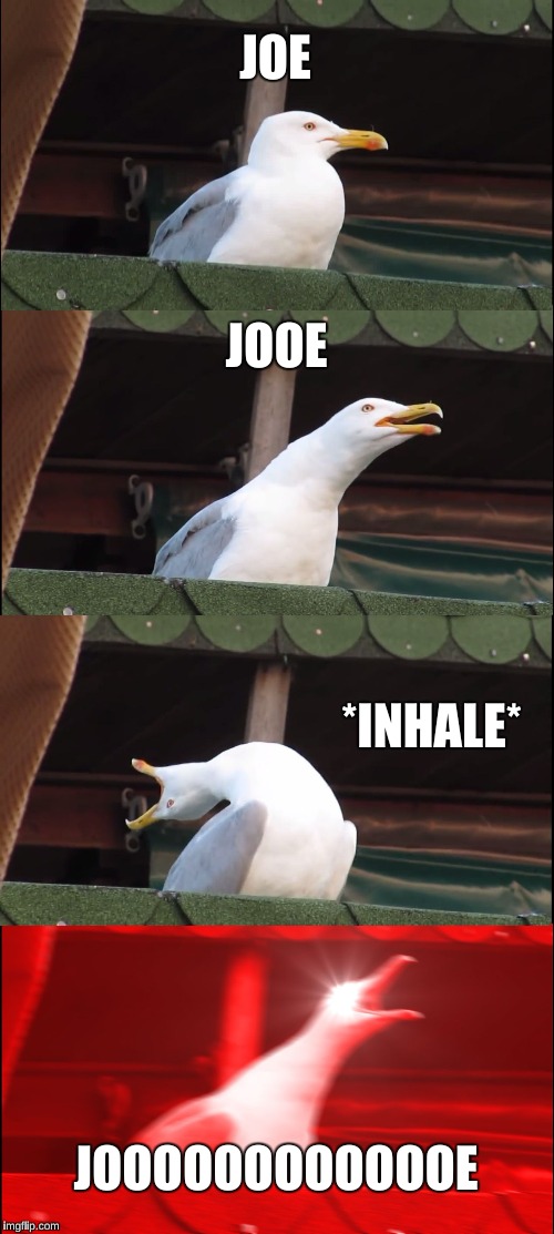 Inhaling Seagull Meme | JOE; JOOE; *INHALE*; JOOOOOOOOOOOOE | image tagged in memes,inhaling seagull | made w/ Imgflip meme maker