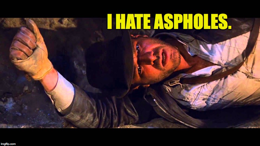 I hate aspholes. | I HATE ASPHOLES. | image tagged in memes,indiana jones,aspholes | made w/ Imgflip meme maker