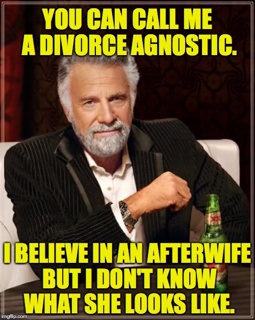 The Most Interesting Man In The World | YOU CAN CALL ME A DIVORCE AGNOSTIC. I BELIEVE IN AN AFTERWIFE BUT I DON'T KNOW WHAT SHE LOOKS LIKE. | image tagged in memes,the most interesting man in the world,divorce,afterwife | made w/ Imgflip meme maker