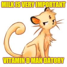 MILK IS VERY IMPORTANT VITAMIN D MAN DATORY | made w/ Imgflip meme maker