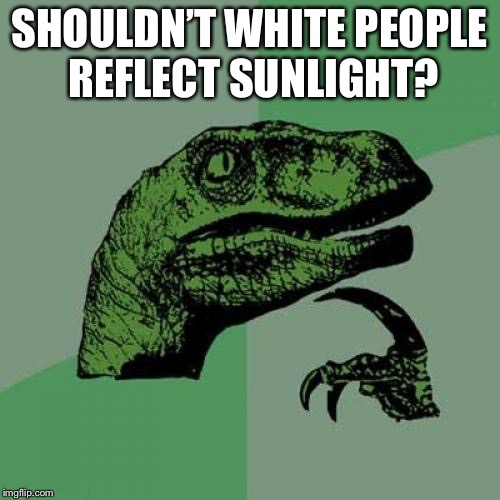 Philosoraptor Meme | SHOULDN’T WHITE PEOPLE REFLECT SUNLIGHT? | image tagged in memes,philosoraptor | made w/ Imgflip meme maker
