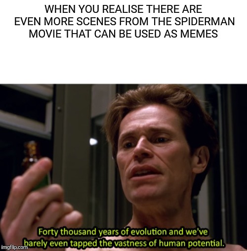 Now go and find more scenes to be used | WHEN YOU REALISE THERE ARE EVEN MORE SCENES FROM THE SPIDERMAN MOVIE THAT CAN BE USED AS MEMES | image tagged in spiderman | made w/ Imgflip meme maker