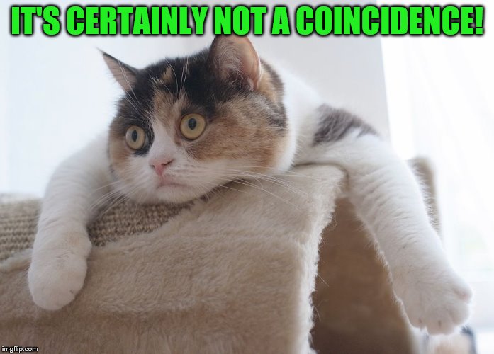 IT'S CERTAINLY NOT A COINCIDENCE! | made w/ Imgflip meme maker