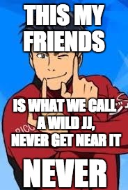 wild JJ | THIS MY FRIENDS; IS WHAT WE CALL A WILD JJ, NEVER GET NEAR IT; NEVER | image tagged in yuri on ice,annoying | made w/ Imgflip meme maker