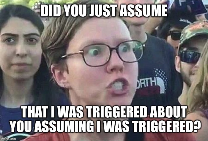 Triggered Liberal |  DID YOU JUST ASSUME; THAT I WAS TRIGGERED ABOUT YOU ASSUMING I WAS TRIGGERED? | image tagged in triggered liberal | made w/ Imgflip meme maker