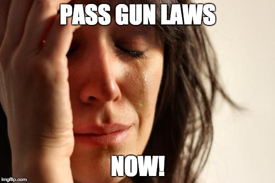 First World Problems Meme | PASS GUN LAWS; NOW! | image tagged in memes,first world problems | made w/ Imgflip meme maker