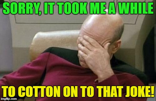 Captain Picard Facepalm Meme | SORRY, IT TOOK ME A WHILE TO COTTON ON TO THAT JOKE! | image tagged in memes,captain picard facepalm | made w/ Imgflip meme maker