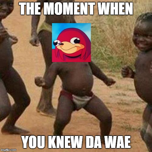 Third World Success Kid Meme | THE MOMENT WHEN; YOU KNEW DA WAE | image tagged in memes,third world success kid | made w/ Imgflip meme maker
