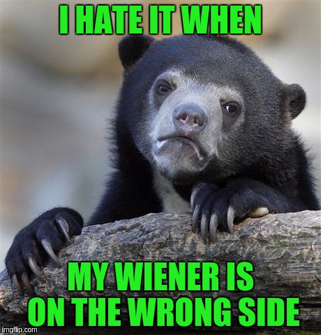 Confession Bear Meme | I HATE IT WHEN; MY WIENER IS ON THE WRONG SIDE | image tagged in memes,confession bear | made w/ Imgflip meme maker