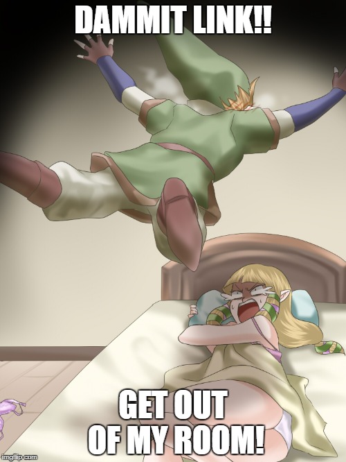 El Zelda | DAMMIT LINK!! GET OUT OF MY ROOM! | image tagged in el zelda | made w/ Imgflip meme maker