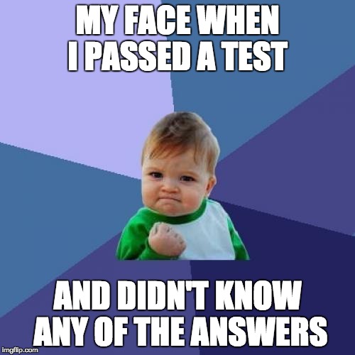 Success Kid Meme | MY FACE WHEN I PASSED A TEST; AND DIDN'T KNOW ANY OF THE ANSWERS | image tagged in memes,success kid | made w/ Imgflip meme maker