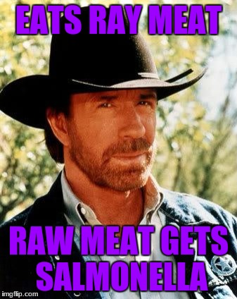 Chuck Norris Meme | EATS RAY MEAT; RAW MEAT GETS SALMONELLA | image tagged in memes,chuck norris | made w/ Imgflip meme maker