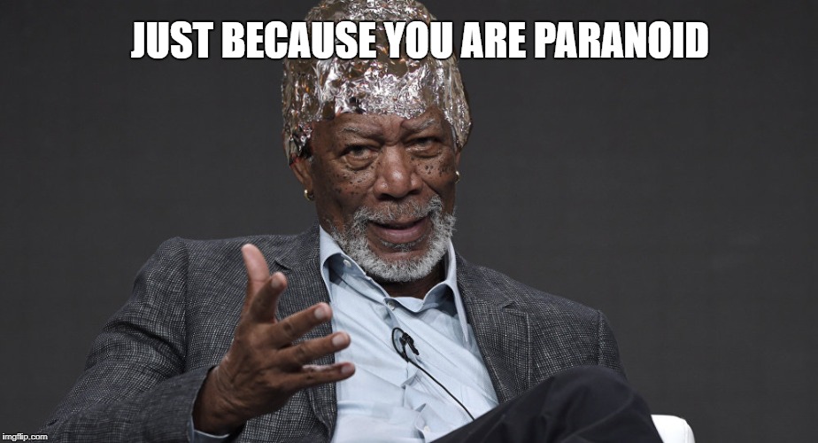 Right Tin Foil | JUST BECAUSE YOU ARE PARANOID | image tagged in right tin foil | made w/ Imgflip meme maker