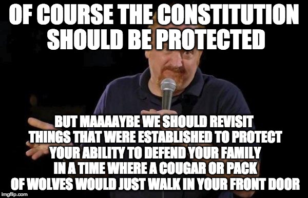 Louis ck but maybe | OF COURSE THE CONSTITUTION SHOULD BE PROTECTED; BUT MAAAAYBE WE SHOULD REVISIT THINGS THAT WERE ESTABLISHED TO PROTECT YOUR ABILITY TO DEFEND YOUR FAMILY IN A TIME WHERE A COUGAR OR PACK OF WOLVES WOULD JUST WALK IN YOUR FRONT DOOR | image tagged in louis ck but maybe | made w/ Imgflip meme maker