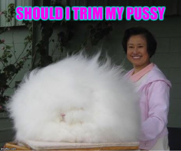 SHOULD I TRIM MY PUSSY | made w/ Imgflip meme maker