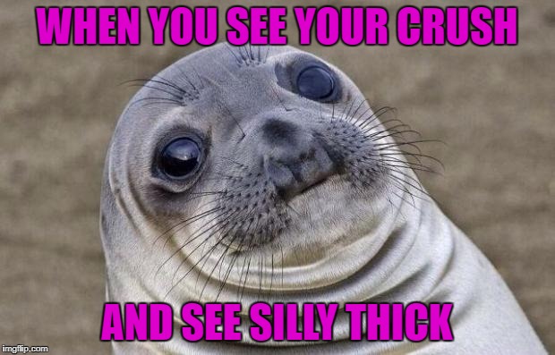Awkward Moment Sealion Meme | WHEN YOU SEE YOUR CRUSH; AND SEE SILLY THICK | image tagged in memes,awkward moment sealion | made w/ Imgflip meme maker