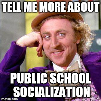 Willy Wonka Blank | TELL ME MORE ABOUT; PUBLIC SCHOOL SOCIALIZATION | image tagged in willy wonka blank | made w/ Imgflip meme maker