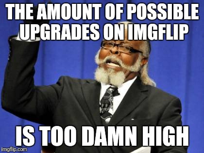 Too Damn High Meme | THE AMOUNT OF POSSIBLE UPGRADES ON IMGFLIP IS TOO DAMN HIGH | image tagged in memes,too damn high | made w/ Imgflip meme maker