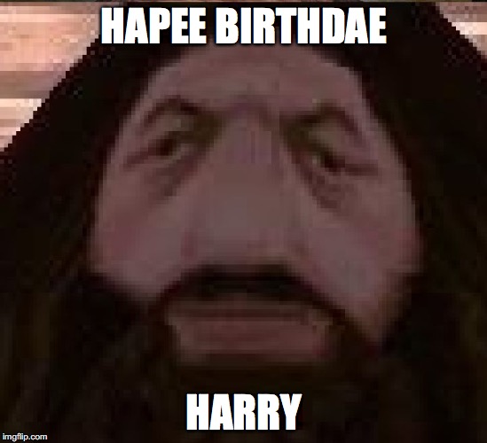 Hagrid PS1 | HAPEE BIRTHDAE; HARRY | image tagged in hagrid ps1 | made w/ Imgflip meme maker