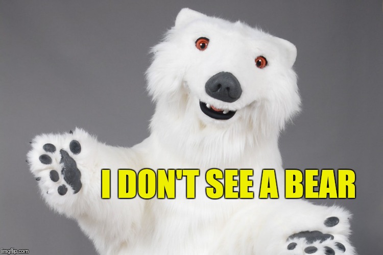 Polar Bear | I DON'T SEE A BEAR | image tagged in polar bear | made w/ Imgflip meme maker