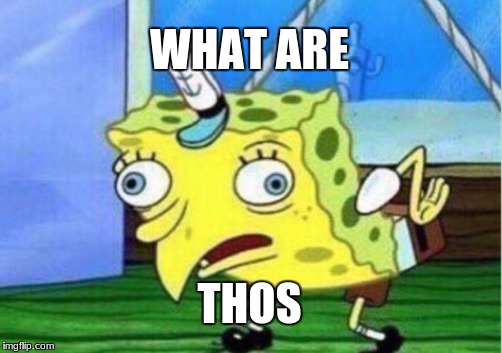 Mocking Spongebob | WHAT ARE; THOS | image tagged in memes,mocking spongebob | made w/ Imgflip meme maker