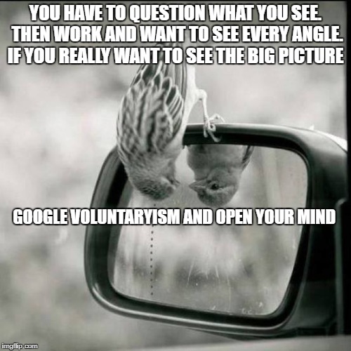 soul | YOU HAVE TO QUESTION WHAT YOU SEE. THEN WORK AND WANT TO SEE EVERY ANGLE. IF YOU REALLY WANT TO SEE THE BIG PICTURE; GOOGLE VOLUNTARYISM AND OPEN YOUR MIND | image tagged in soul | made w/ Imgflip meme maker
