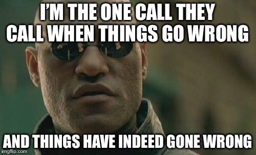 Matrix Morpheus | I’M THE ONE CALL THEY CALL WHEN THINGS GO WRONG; AND THINGS HAVE INDEED GONE WRONG | image tagged in memes,matrix morpheus | made w/ Imgflip meme maker