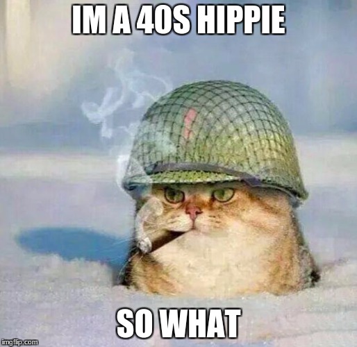 1940s cat | IM A 40S HIPPIE; SO WHAT | image tagged in war cat | made w/ Imgflip meme maker