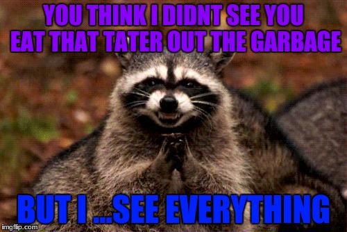 Evil Plotting Raccoon Meme | YOU THINK I DIDNT SEE YOU EAT THAT TATER OUT THE GARBAGE; BUT I ...SEE EVERYTHING | image tagged in memes,evil plotting raccoon | made w/ Imgflip meme maker