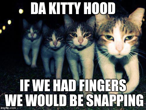 Wrong Neighboorhood Cats Meme | DA KITTY HOOD; IF WE HAD FINGERS WE WOULD BE SNAPPING | image tagged in memes,wrong neighboorhood cats | made w/ Imgflip meme maker