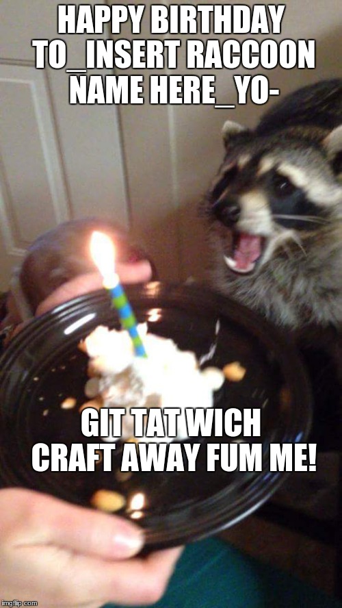 Racoon | HAPPY BIRTHDAY TO_INSERT RACCOON NAME HERE_YO-; GIT TAT WICH CRAFT AWAY FUM ME! | image tagged in racoon | made w/ Imgflip meme maker